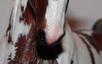Nose tip markings