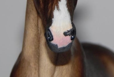 Nose tip markings