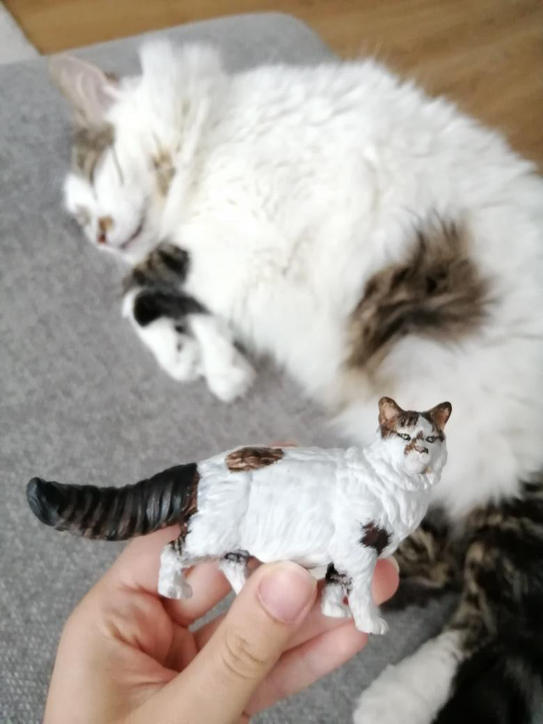 ๐ผ๐ ๐๐๐
๐๐๐ ๐ฬ๐๐๐๐๐๐