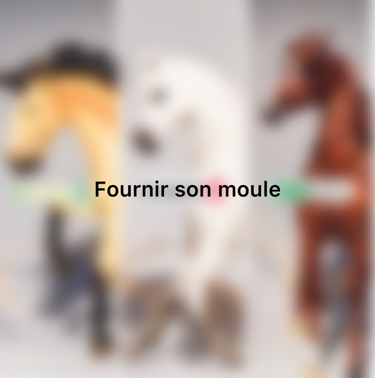 Fournir son moule